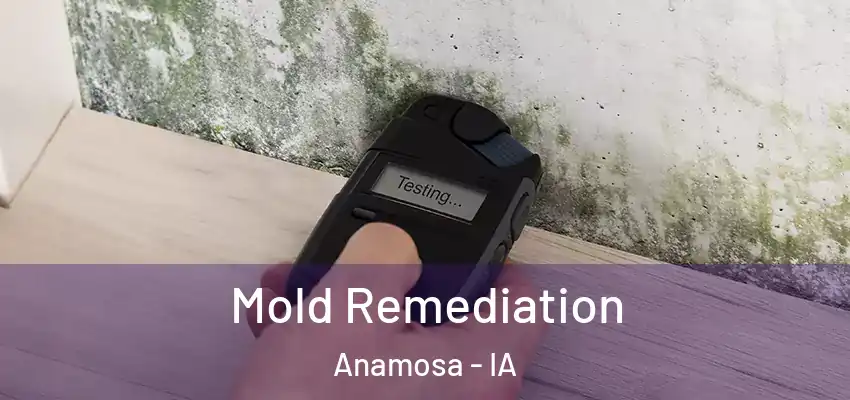  Mold Remediation Anamosa - IA
