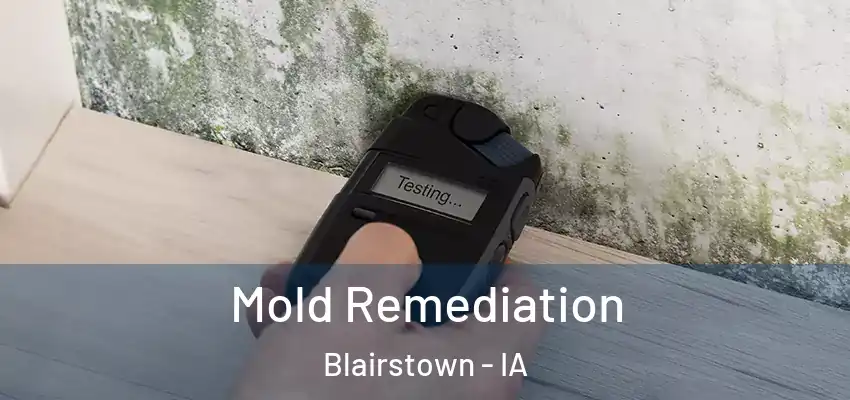 Mold Remediation Blairstown - IA