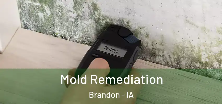 Mold Remediation Brandon - IA