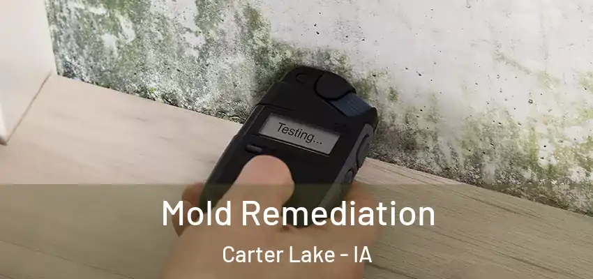 Mold Remediation Carter Lake - IA