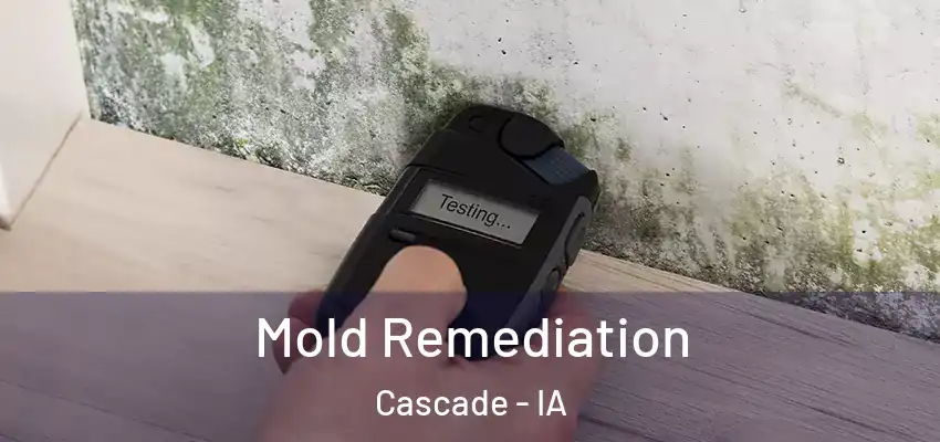 Mold Remediation Cascade - IA