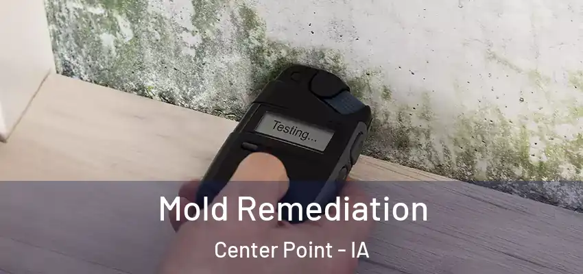 Mold Remediation Center Point - IA