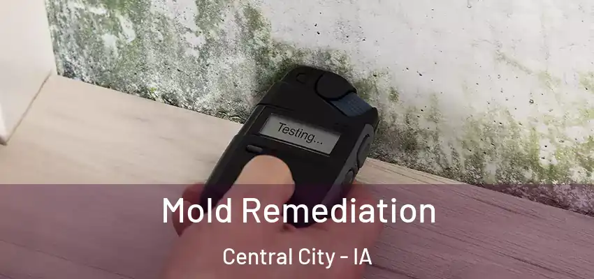 Mold Remediation Central City - IA