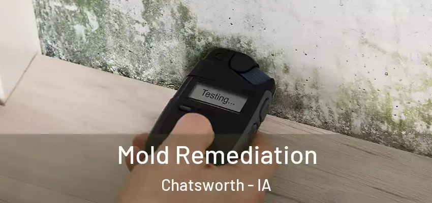  Mold Remediation Chatsworth - IA