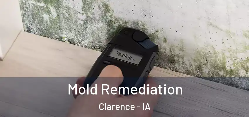 Mold Remediation Clarence - IA