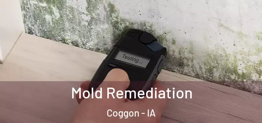Mold Remediation Coggon - IA