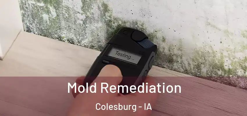 Mold Remediation Colesburg - IA