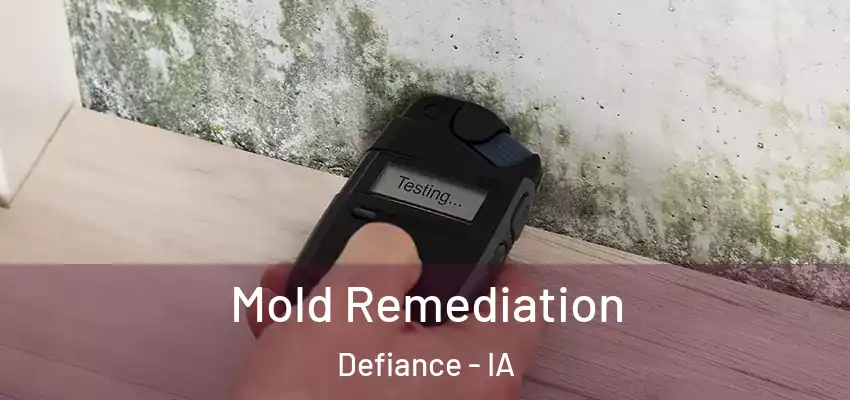 Mold Remediation Defiance - IA