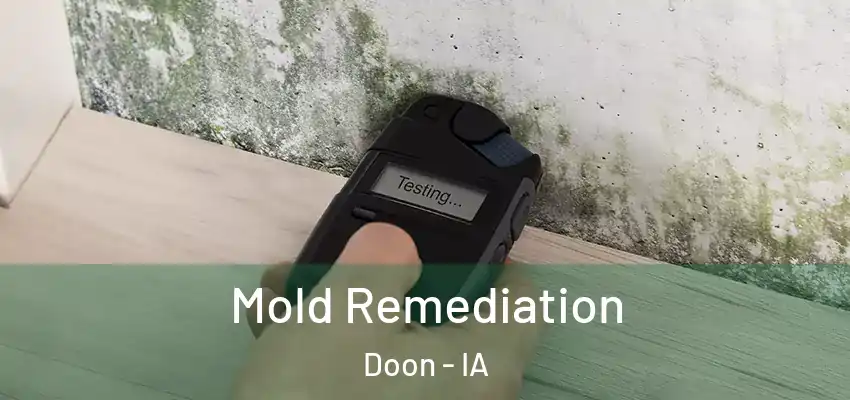 Mold Remediation Doon - IA