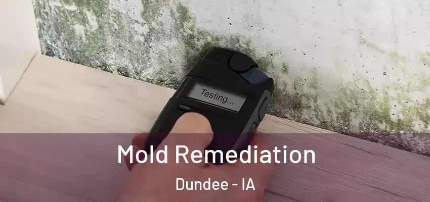  Mold Remediation Dundee - IA