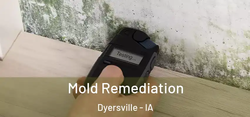Mold Remediation Dyersville - IA
