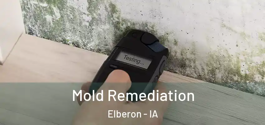  Mold Remediation Elberon - IA