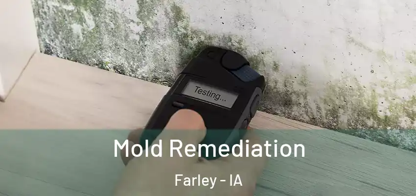  Mold Remediation Farley - IA
