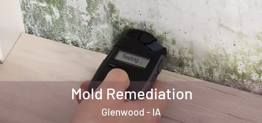 Mold Remediation Glenwood - IA