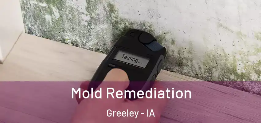 Mold Remediation Greeley - IA