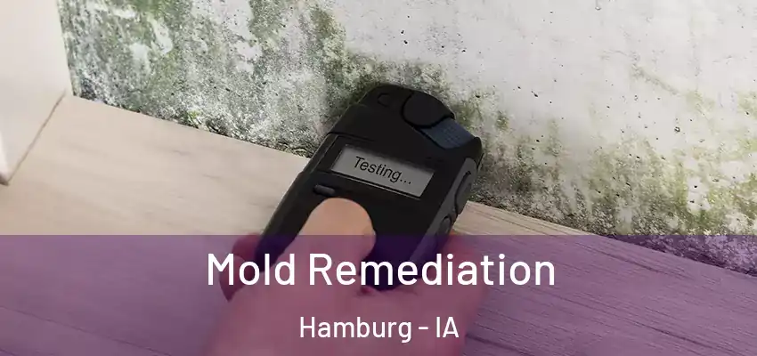  Mold Remediation Hamburg - IA