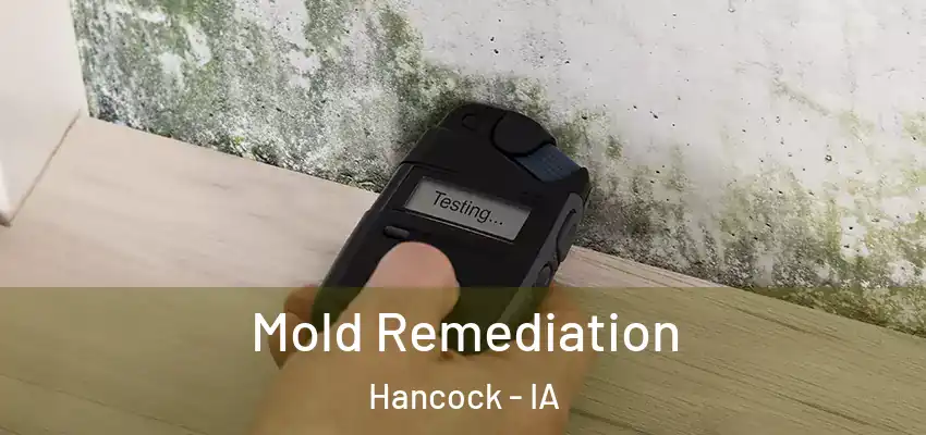  Mold Remediation Hancock - IA