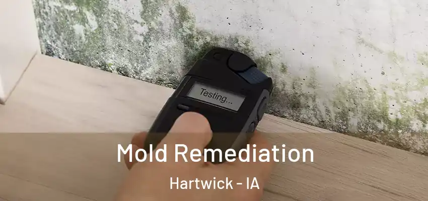 Mold Remediation Hartwick - IA