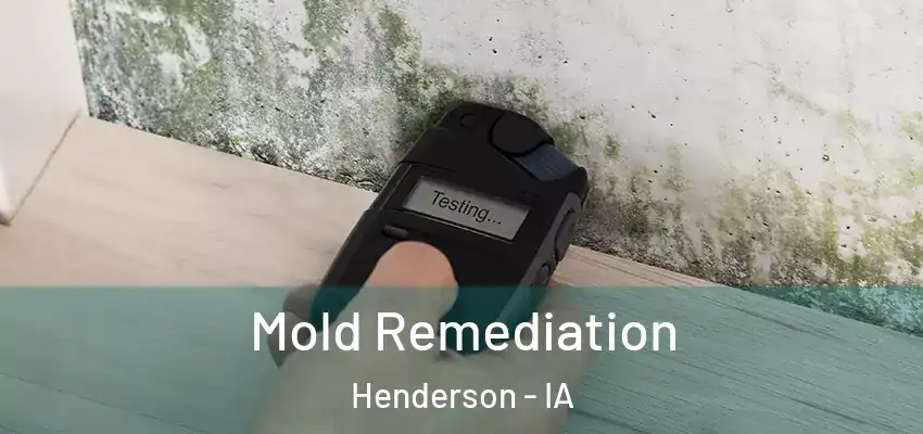 Mold Remediation Henderson - IA