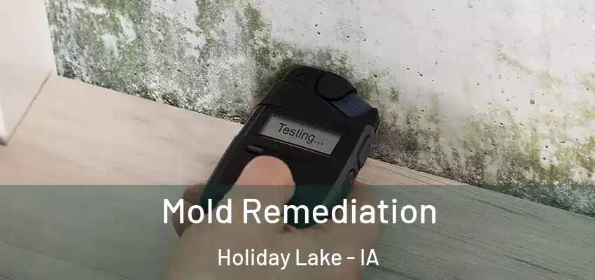  Mold Remediation Holiday Lake - IA