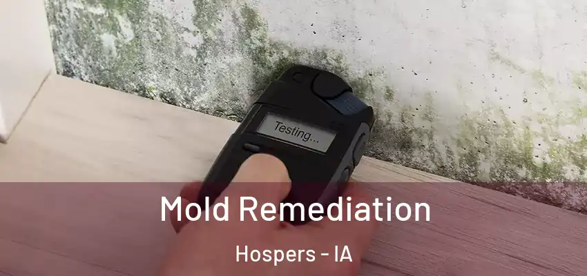 Mold Remediation Hospers - IA