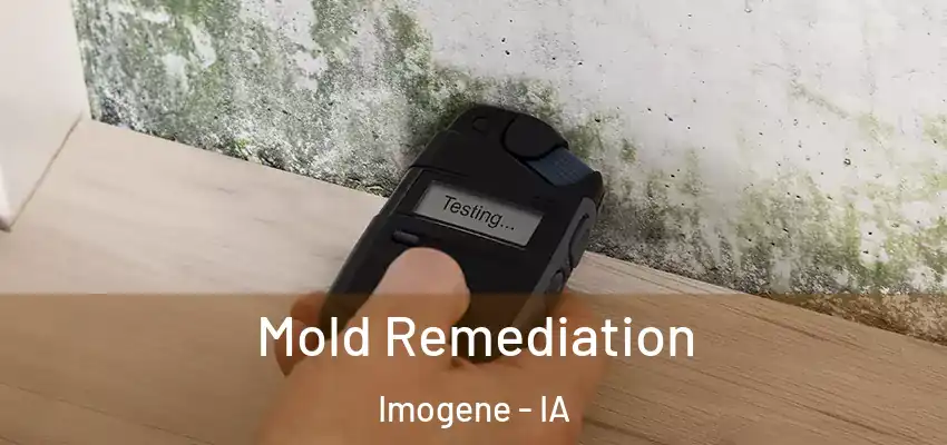  Mold Remediation Imogene - IA