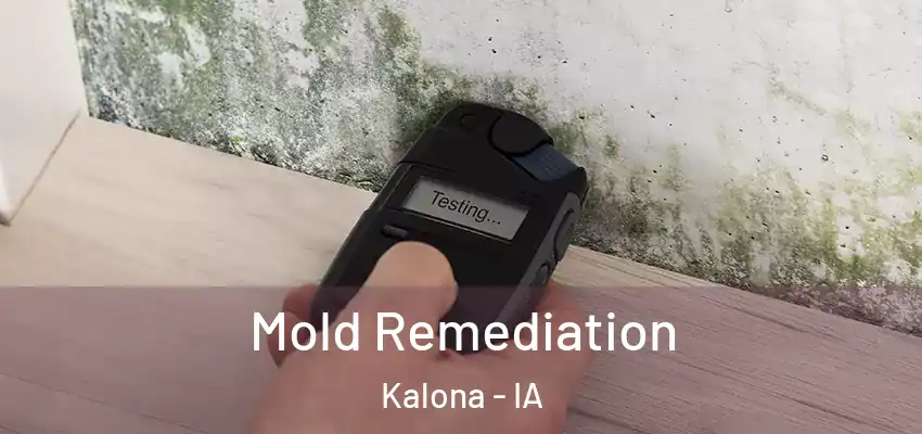  Mold Remediation Kalona - IA