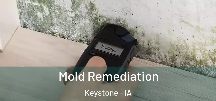  Mold Remediation Keystone - IA