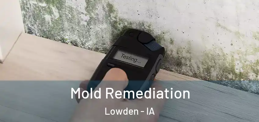 Mold Remediation Lowden - IA