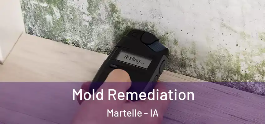 Mold Remediation Martelle - IA