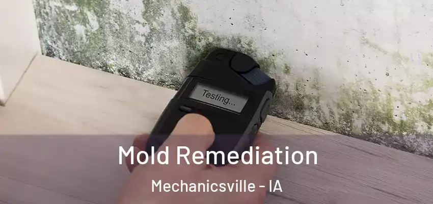Mold Remediation Mechanicsville - IA
