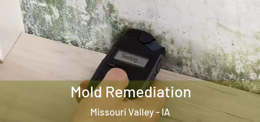Mold Remediation Missouri Valley - IA