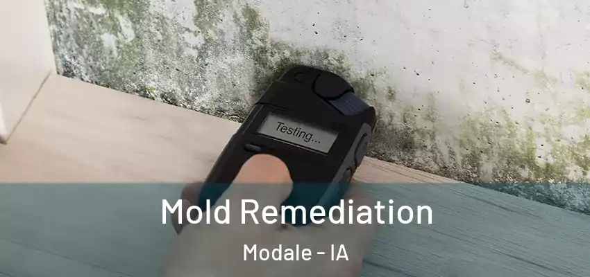  Mold Remediation Modale - IA