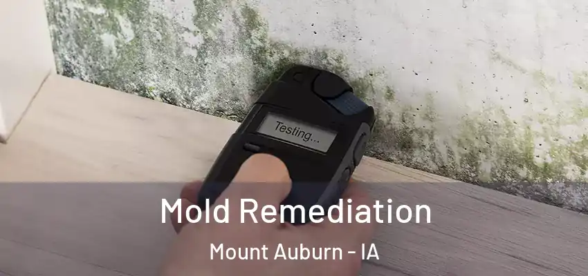  Mold Remediation Mount Auburn - IA
