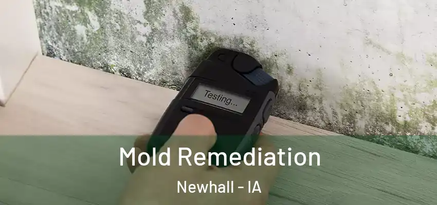 Mold Remediation Newhall - IA
