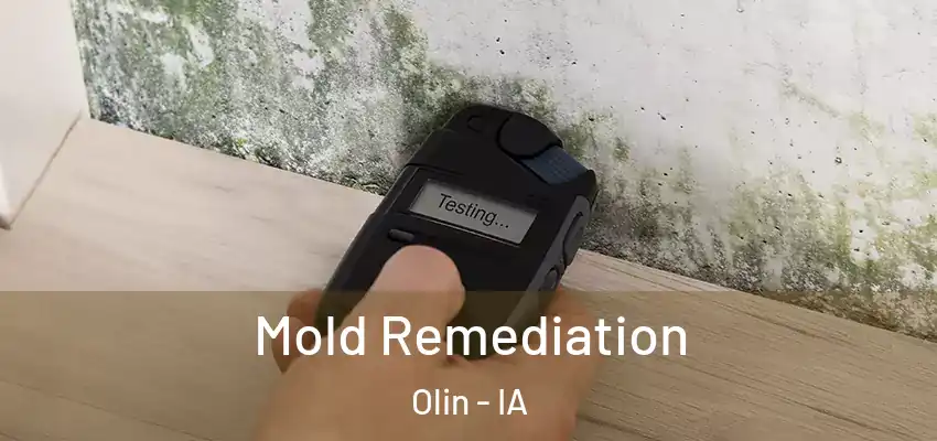 Mold Remediation Olin - IA