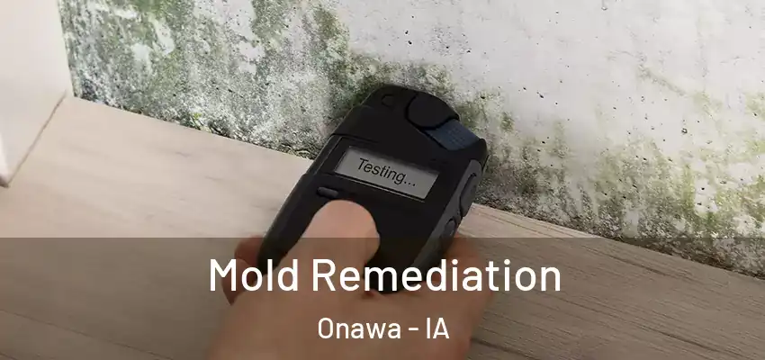  Mold Remediation Onawa - IA