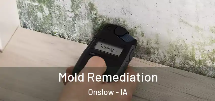 Mold Remediation Onslow - IA