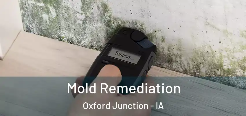 Mold Remediation Oxford Junction - IA