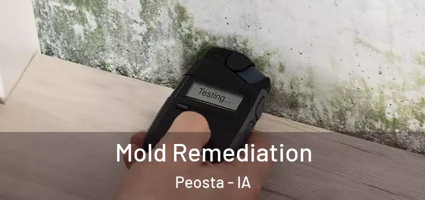 Mold Remediation Peosta - IA