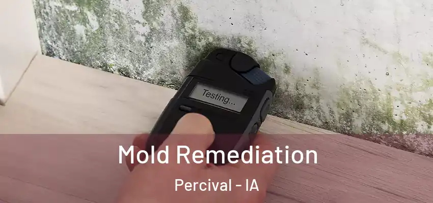  Mold Remediation Percival - IA