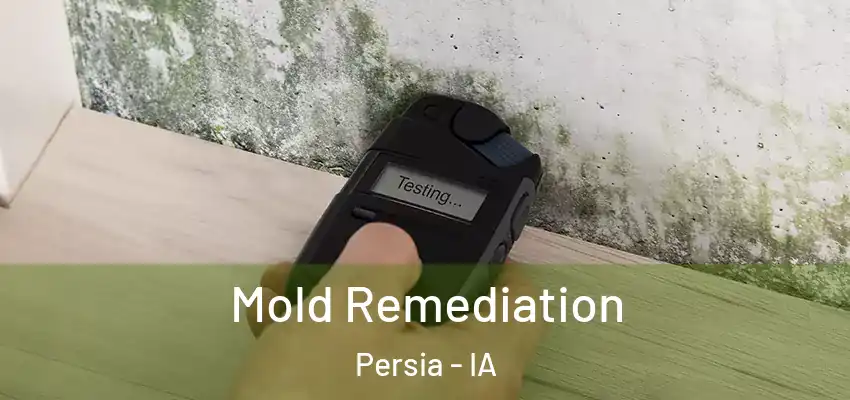 Mold Remediation Persia - IA