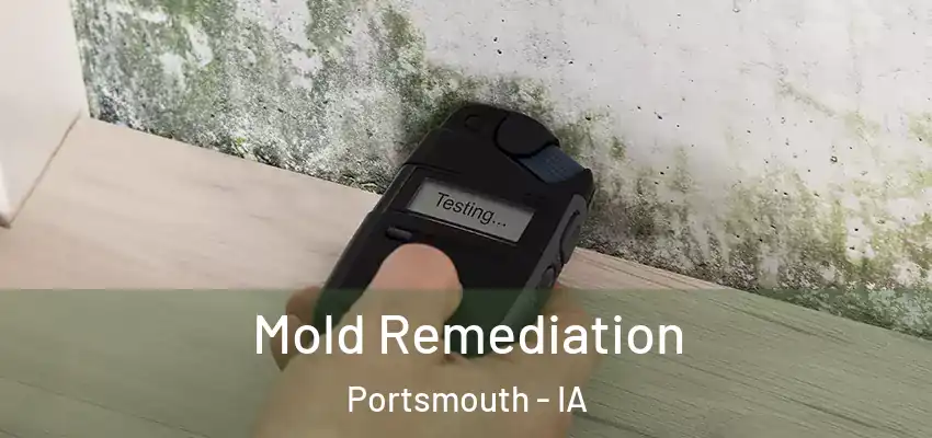  Mold Remediation Portsmouth - IA