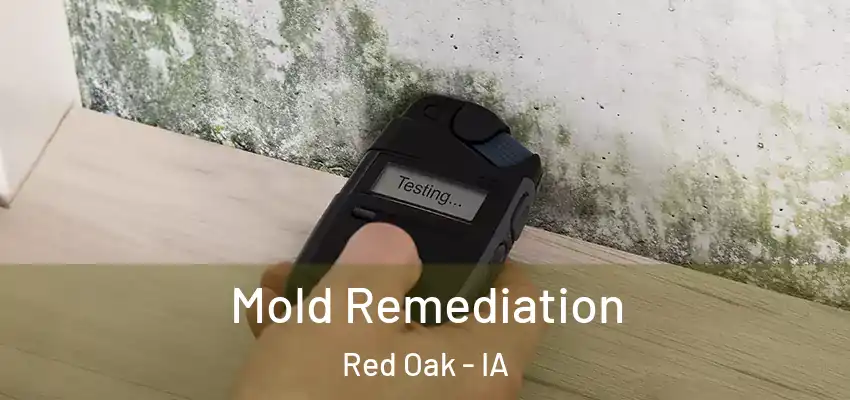 Mold Remediation Red Oak - IA