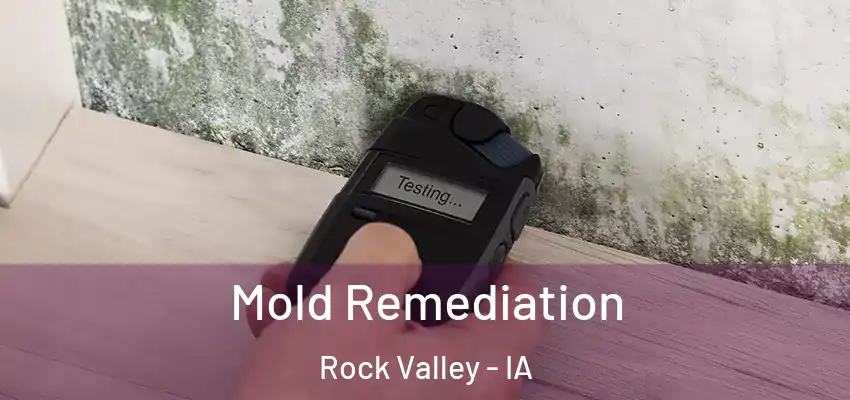  Mold Remediation Rock Valley - IA