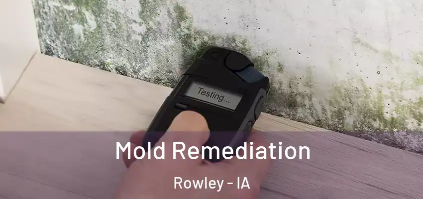  Mold Remediation Rowley - IA