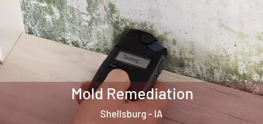 Mold Remediation Shellsburg - IA