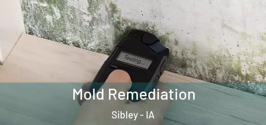 Mold Remediation Sibley - IA
