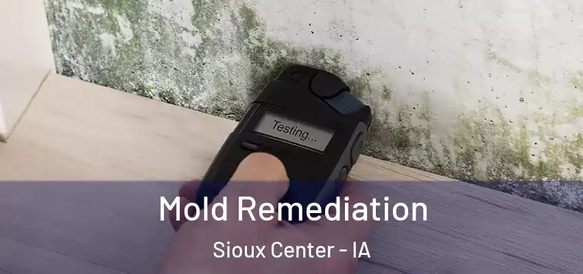 Mold Remediation Sioux Center - IA