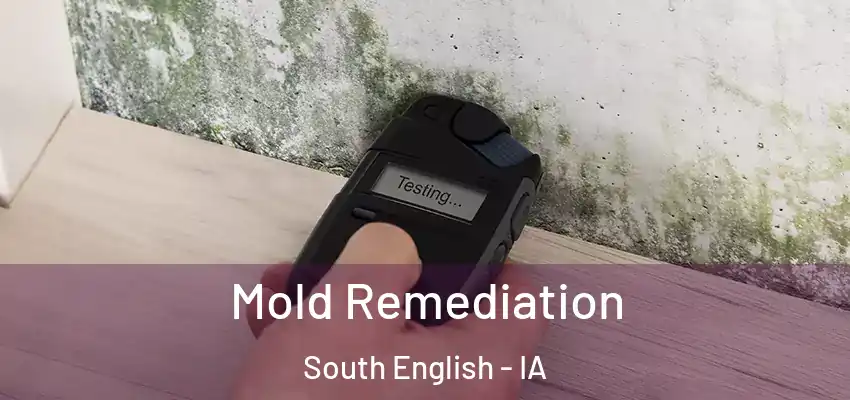  Mold Remediation South English - IA